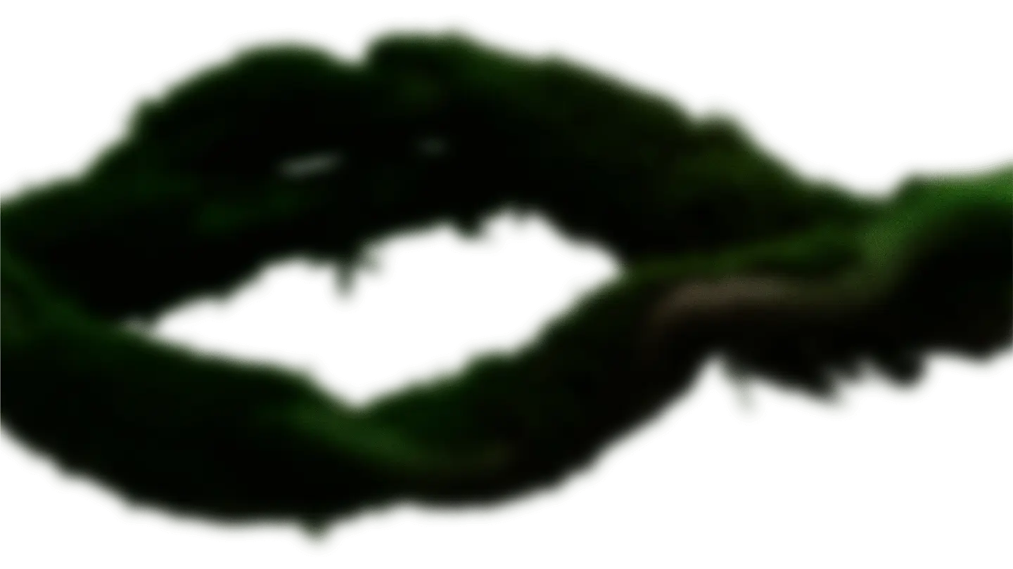 Enredaderas desenfocadas